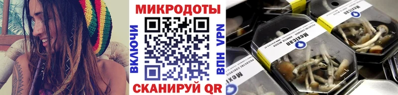 цены   Шумерля  Псилоцибиновые грибы Magic Shrooms 